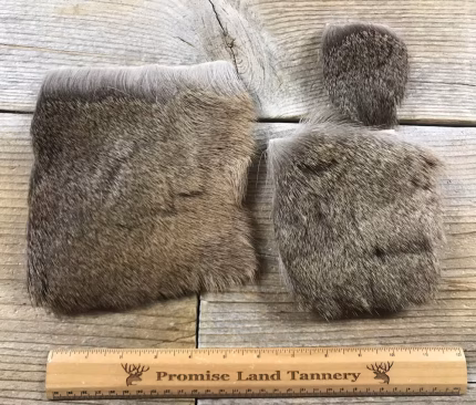 Whitetail Deer Hair On Hide Piece - Choice of Size - Stock No. FUR-67
