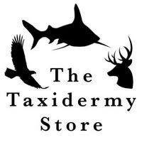 The Taxidermy Store